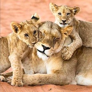 Meet your Posher, Marilyn